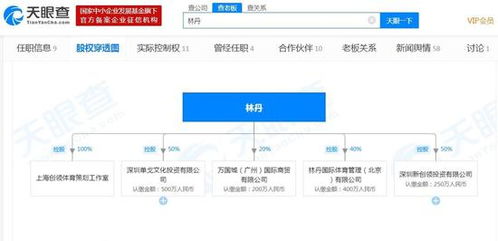 從球場到商海 林丹退役后的商業(yè)版圖與數(shù)字足跡